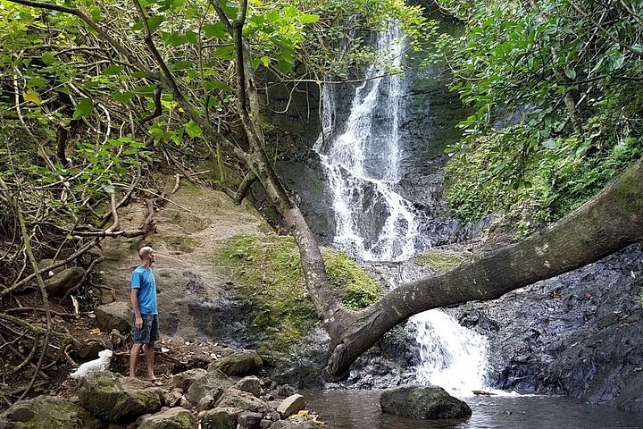 Oahu Hidden Waterfall Hike, photo 2 of 6