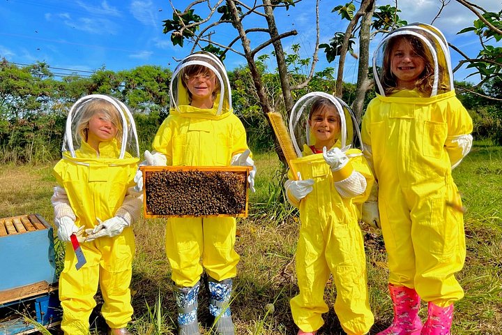 Bee Farm Ecotour and Honey Tasting in Waialua, North Shore Oahu, photo 7 of 10