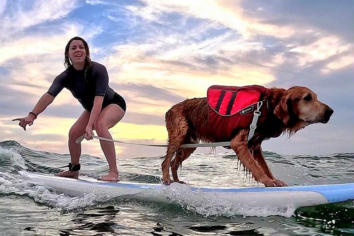 Private 1-on-1 Surf Lesson with Videos and Photos, photo 8 of 10