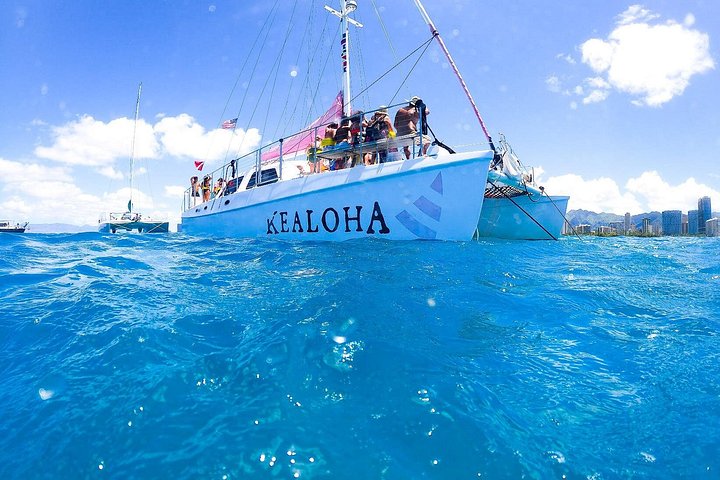 Waikiki 2-Hour Turtle Canyon Snorkeling Adventure, photo 3 of 10