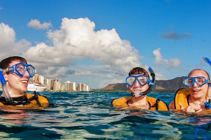 Waikiki Turtle Canyon Guided Snorkel: Turtle Guarantee, photo 2 of 10