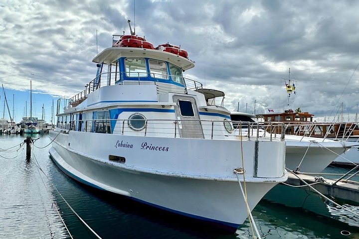 Oahu: 2-Hour Whale Watch from Ala Wai Harbor, Waikiki, photo 5 of 10