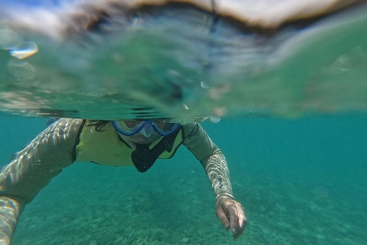 Hanauma Bay Guided Snorkeling Tour with Transportation, photo 2 of 10
