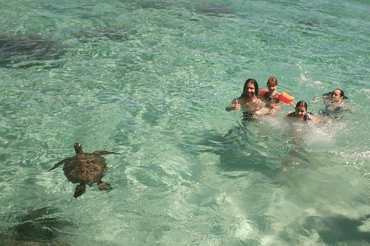 Oahu Small-Group Circle Island Tour with Turtle Snorkeling, photo 8 of 10