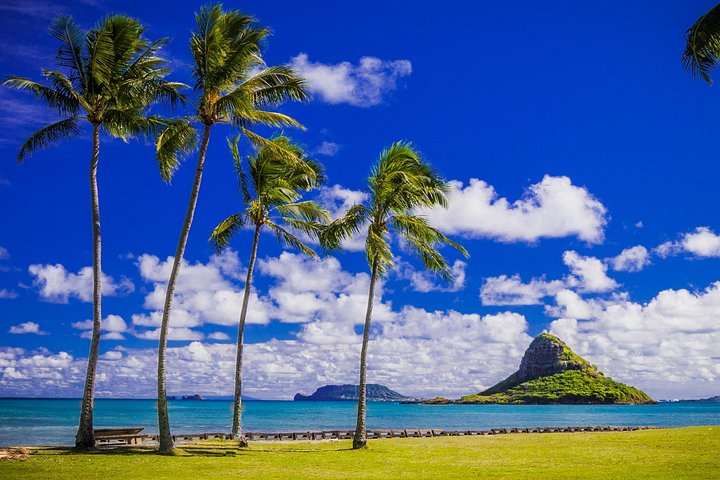 Oahu: North Shore Tour with Waimea Waterfall, photo 7 of 10