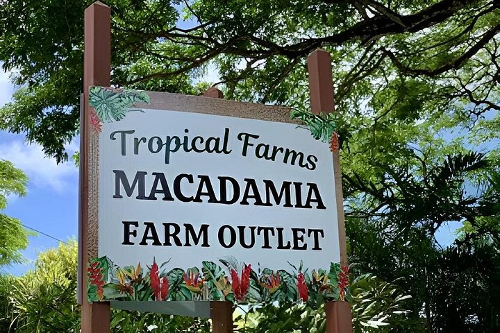 Oahu Northshore Island Tour, photo 4 of 10