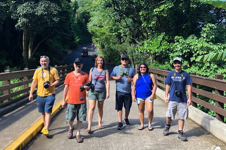 Oahu Day Tour with Waterfalls Food Trucks and Lookout Points, photo 9 of 10