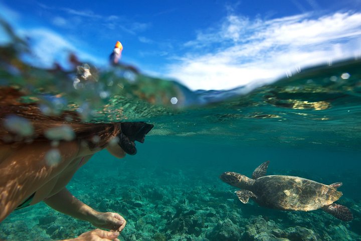 Small-Group Oahu Circle Island Tour with Professional Photography, photo 9 of 10