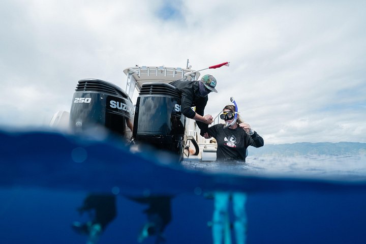 Open Water Shark Dive, photo 10 of 10