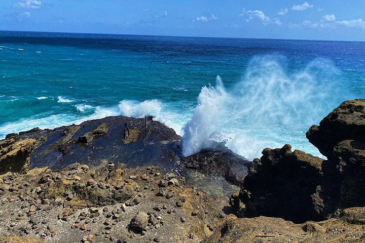 Oahu Small-Group Circle Island Tour: North Shore and Local Food, photo 3 of 10