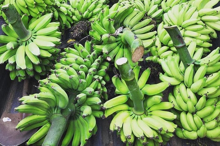 Kualoa Ranch, Best of Kualoa Experience Package, photo 5 of 10