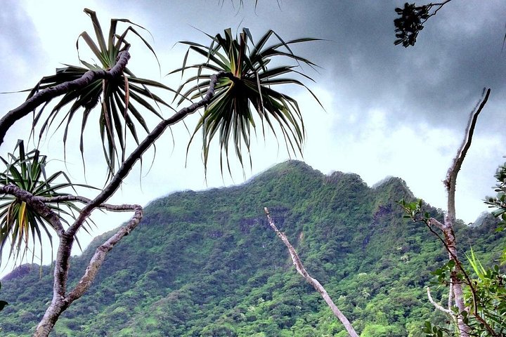 Kualoa Ranch Novice E-Bike, photo 5 of 10