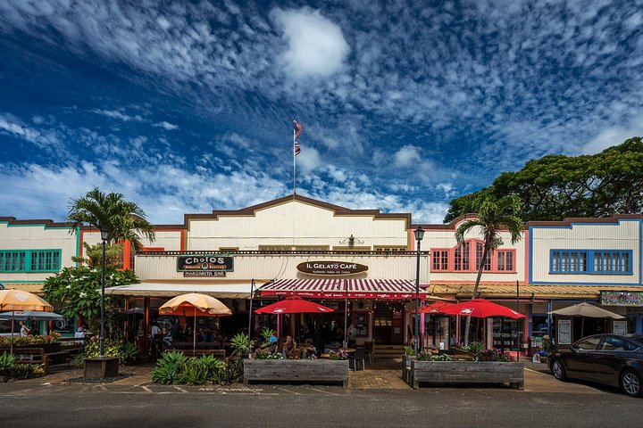 Small-Group Oahu Circle Island Tour with Professional Photography, photo 10 of 10