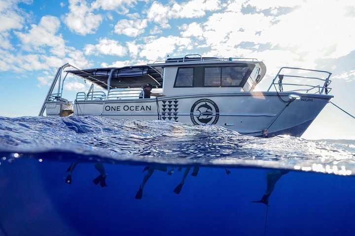 Dive with Sharks in Hawaii: Shark Tour from Haleiwa, photo 3 of 10