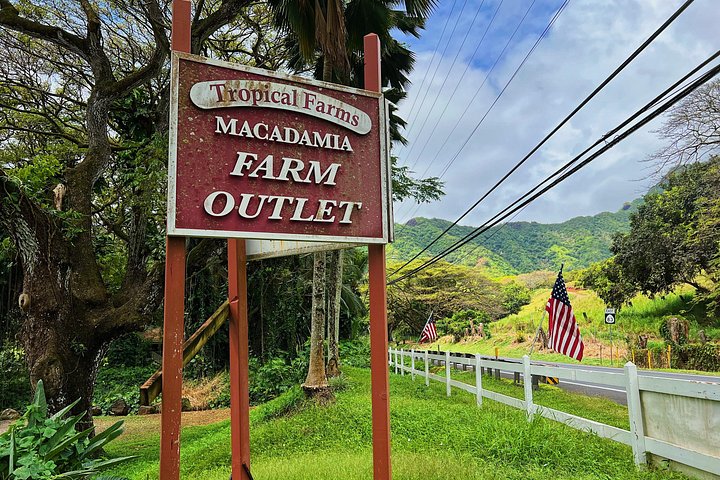 Oahu Small-Group Circle Island Tour: North Shore and Local Food, photo 5 of 10