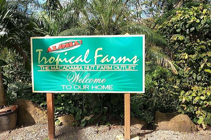 Oahu: North Shore Tour with Waimea Waterfall, photo 6 of 10