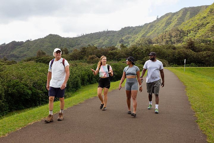 Hike to a Tropical Waterfall with Pickup, photo 7 of 10