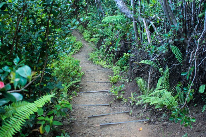 Kualoa Ranch: Jungle Expedition Tour, photo 7 of 10