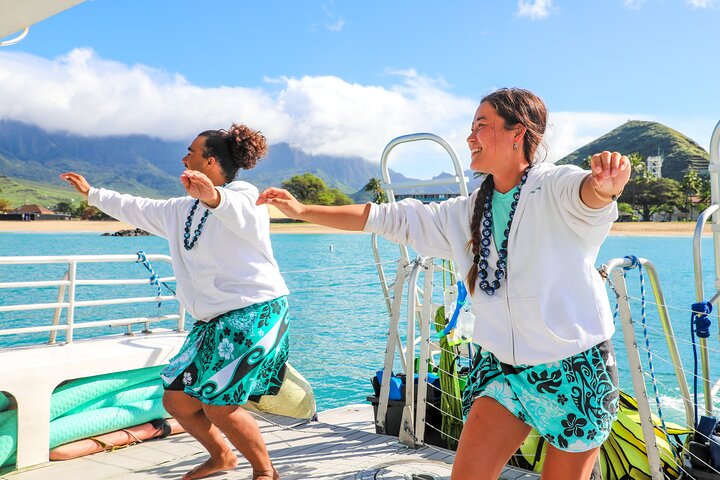 Oahu Dolphin and Snorkel Tour with Waikiki Pickup and Lunch, photo 6 of 10