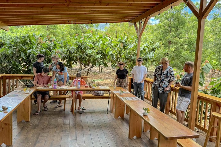 Kamananui Cacao Orchard Tour, photo 3 of 6