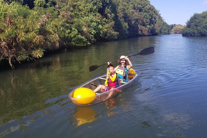Clear-Bottom Kayak Tour, Guaranteed to See Turtles, photo 9 of 10
