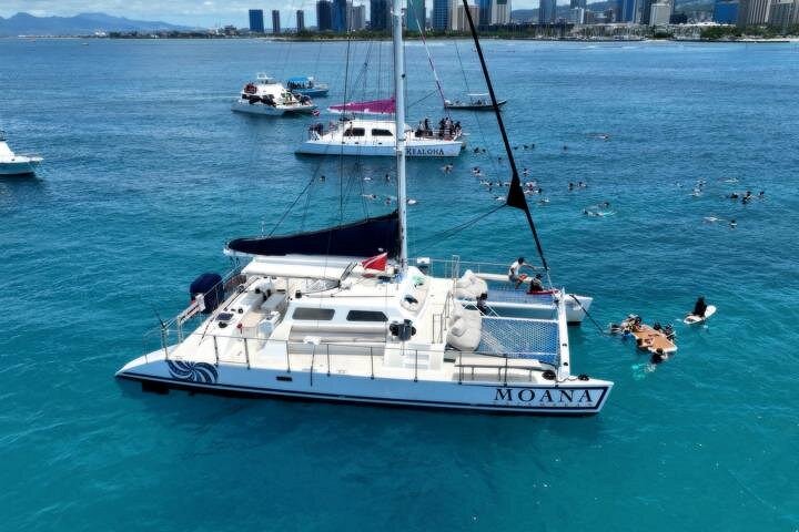 Moana Waikiki Grand Guided Turtle Snorkel and Sailing Adventure, photo 3 of 10
