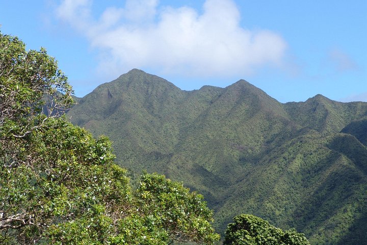 Oahu Volcanic Rainforest Hiking Adventure, photo 5 of 8