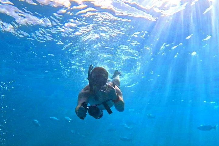 Waikiki Turtle Snorkeling and 6-in-1 Adventure with Free Pickup, photo 9 of 10