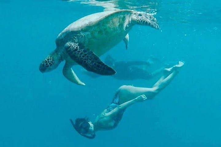 Waikiki Turtle Snorkel and Sail on the Hawea Catamaran, photo 3 of 10