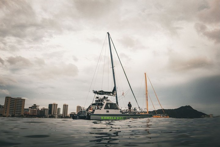 Oahu Catamaran Snorkel Tour: Turtles Guaranteed, photo 5 of 10