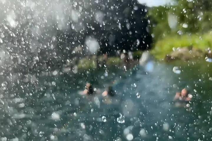 Waimea Valley Waterfall Swim and Dole Plantation Tour with Lunch, photo 5 of 10