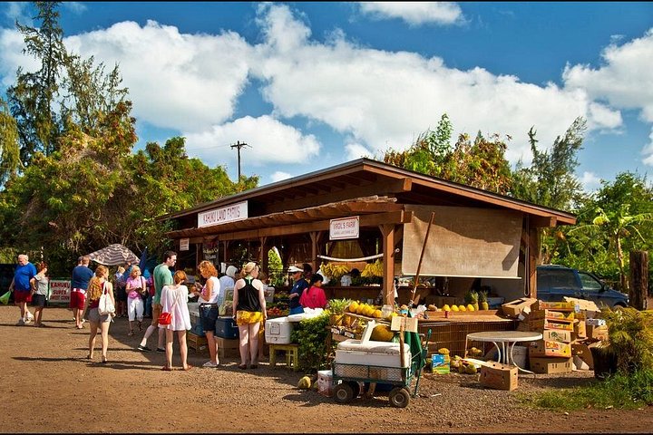 Oahu Northshore Island Tour, photo 7 of 10