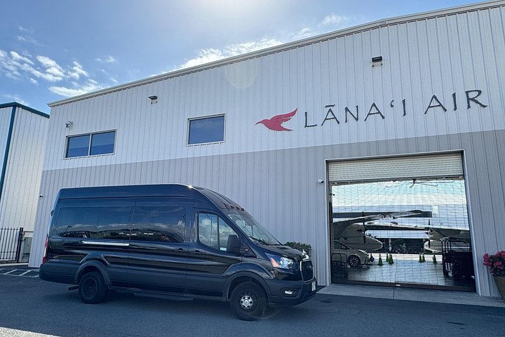 Honolulu Private Transfer: Airport, Port, Hotel, 1 to 12 Passengers, photo 7 of 10