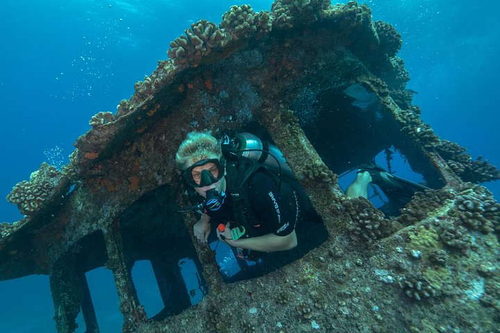 Certified Diver: 2-Tank Deep Wreck and Shallow Reef Dive off Oahu, photo 3 of 10