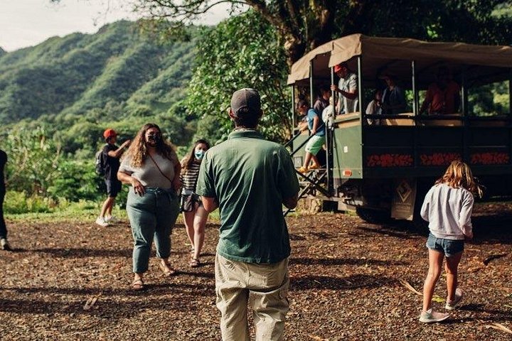 Kualoa Ranch: Jungle Expedition Tour, photo 4 of 10