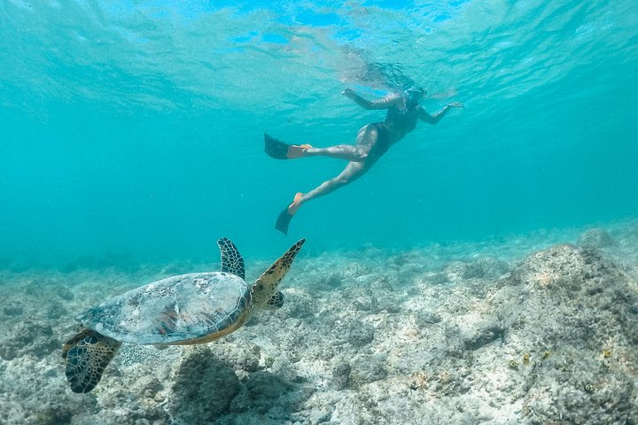 Kailua Bay, Oahu: Kayak and Snorkel to the Islands, photo 3 of 10