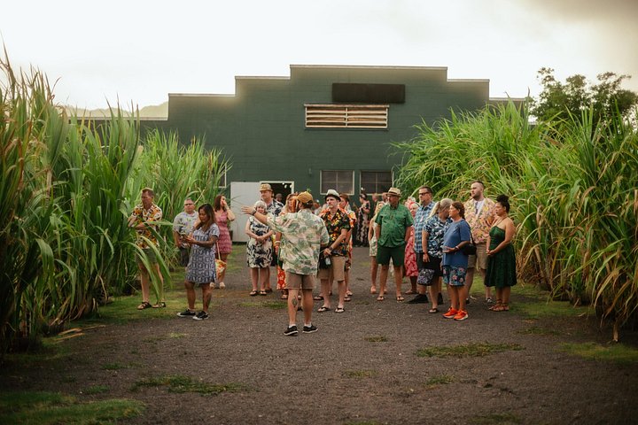 Ko Hana Hawaiian Rum Distillery Tour and Tasting, photo 2 of 7