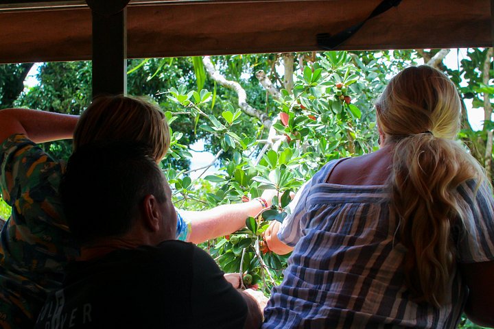 Kualoa Ranch, Best of Kualoa Experience Package, photo 8 of 10