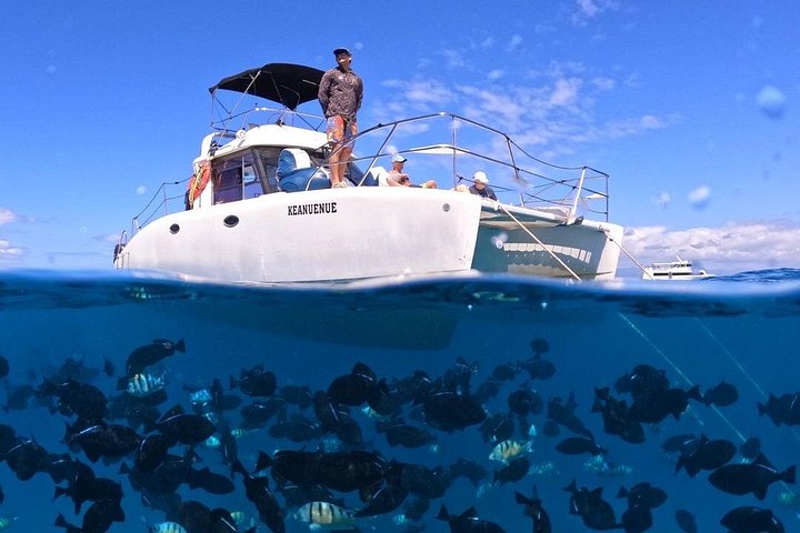 Waikiki: Small Group Turtle Canyon Snorkel Boat Tour, photo 2 of 10