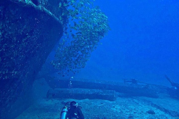 Certified Diver: 2-Tank Deep Wreck and Shallow Reef Dive off Oahu, photo 7 of 10