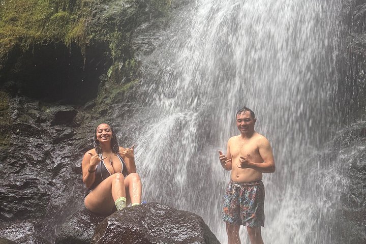 Hike to a Tropical Waterfall with Pickup, photo 3 of 10