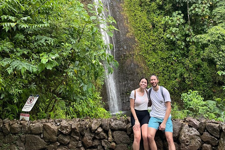 Oahu: Manoa Falls Rainforest Self-Guided Hike, photo 2 of 10