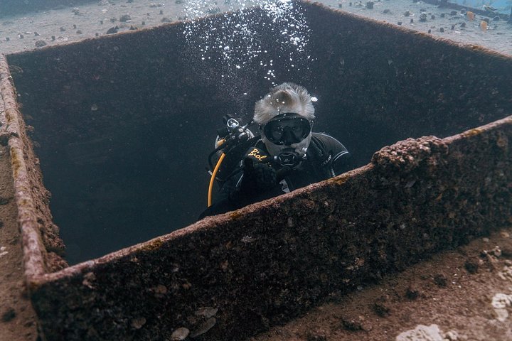 Waikiki 2-Tank Wreck Scuba Diving for Certified Divers, photo 3 of 10