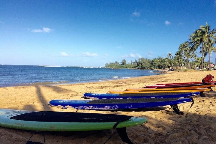 Group Stand Up Paddle Lesson and Tour, photo 6 of 10