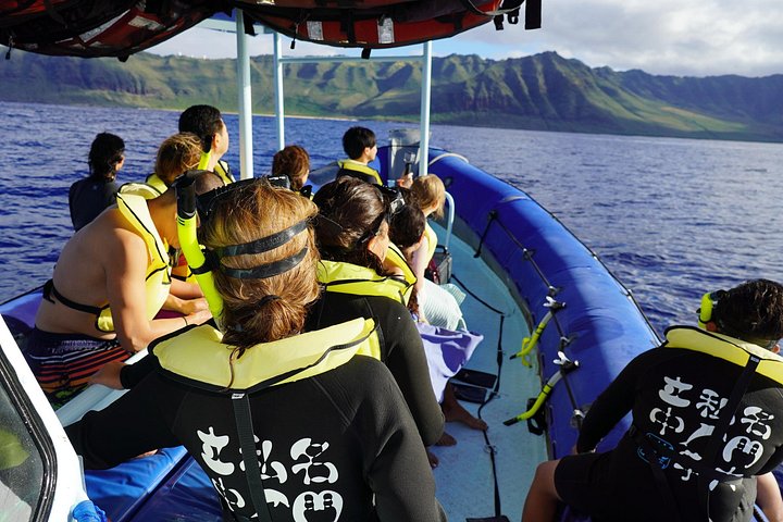 Swimming with Wild Dolphins Speedboat Adventure on Oahu, photo 5 of 10
