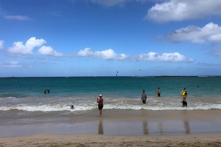North Shore and Waimea Falls Day with a Turtle Swim, photo 4 of 10