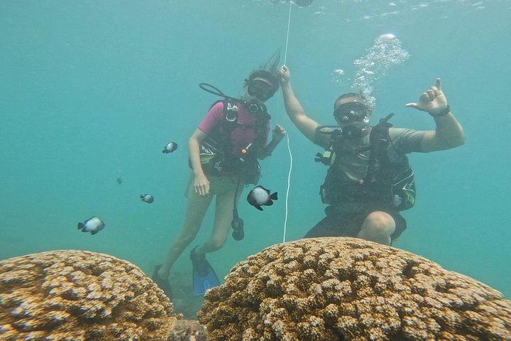 Beginner Scuba Diving Experience with Video Package in Honolulu, photo 6 of 10