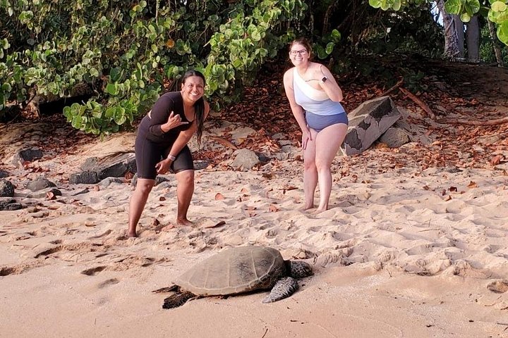 Clear-Bottom Kayak Tour, Guaranteed to See Turtles, photo 8 of 10