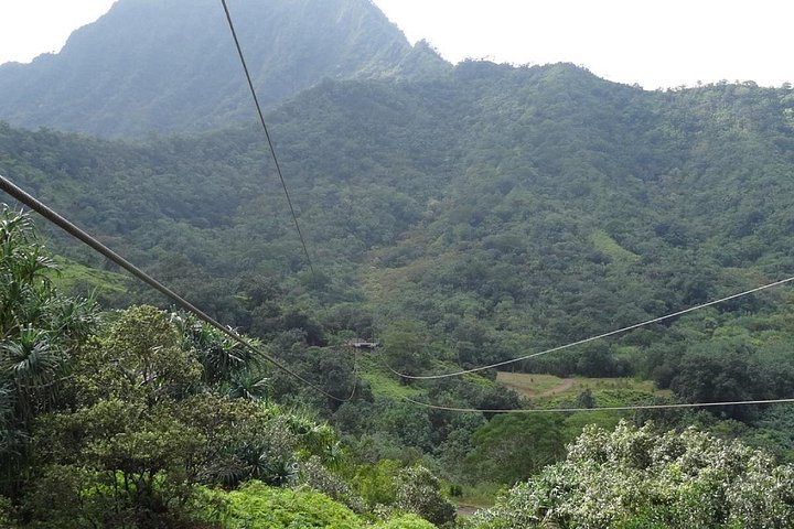 Kualoa Ranch, Zipline Tour, photo 5 of 10