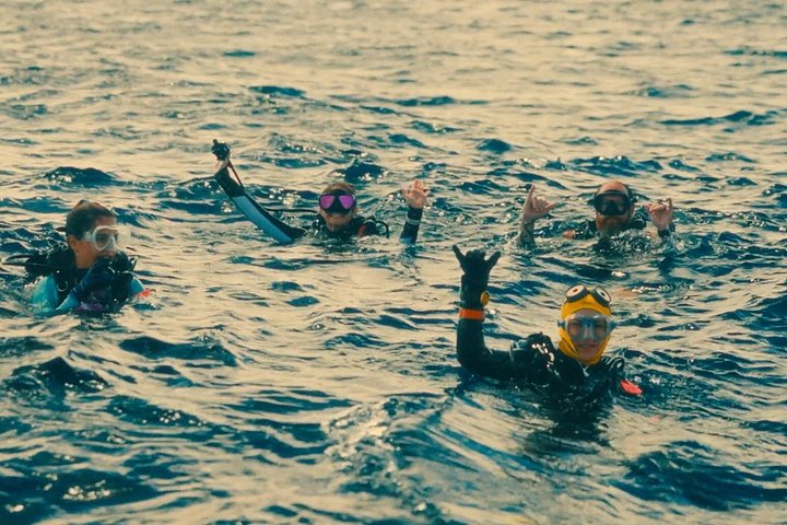 DISCOVER Scuba Diving Experience in Honolulu, photo 7 of 10